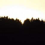 Sonnenvertschüssung