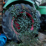 Lang nicht mehr bewegt