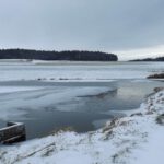 Windspiel im Karpfenteich