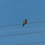 Kräftesparender Suchposten