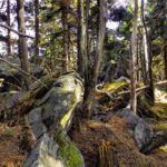 Viel niedriger ist diese Felsgruppe aber auch nicht...