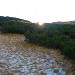 Der Rauhreif macht das Datum ein bisserl glaubwürdiger Der Rauhreif macht das Datum ein bisserl glaubwürdiger