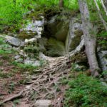 Auch hier gibt es Felsen und Wurzeln Auch hier gibt es Felsen und Wurzeln