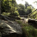 Felsenkanzel Felsenkanzel