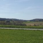 Entenbühlausläufer