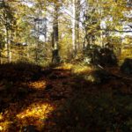 Es gibt Karten, auf denen dieser Riegel Malý Čerchov genannt wird