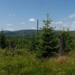 Mal der ganze Kamm vom Lusen nach Norden Mal der ganze Kamm vom Lusen nach Norden