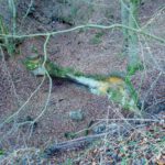 Sandsteinstufe mit möglicher Quelle