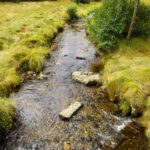 Zwischendrin plätschert der Zollbach / Celní potok Zwischendrin plätschert der Zollbach / Celní potok