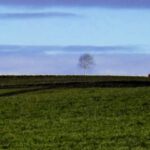 Mit der alten Kamera hätte ich den Vogel wohl nicht aufs Bild gebracht