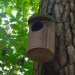 Einer von gefühlt 100 Nistkästen