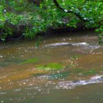 Unterwasservielfalt Unterwasservielfalt