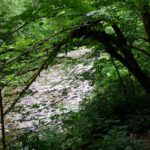 Verneigung Verneigung