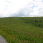 Touristenautobahn zum Feldberggipfel Touristenautobahn zum Feldberggipfel