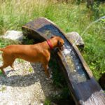 Endlich genug Wasser!