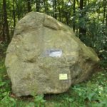 ...viele mit Einschlüssen...