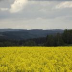 Über dem Waldnaabtal braut sich etwas zusammen
