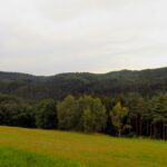 Kamm vom Starzberg zum Hohenstein