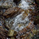 Emoto-eske Fließwasserstruktur