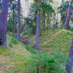 Keltenwall mit Graben