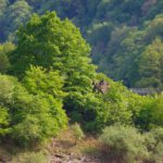 Rechts erkennt man die Brücke, auf der man die Urft überquert,wenn man von Vogelsang herunterkommt