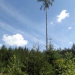 Großvater und Enkel