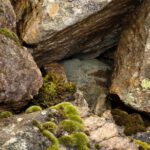 Lebensraum Trockensteinmauer