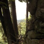 Durchblick ins Wenig