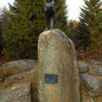 Sieht eher nach einem Ferkel aus...