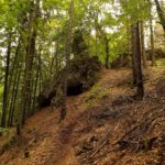 Durch diesen Tunnel musste ich