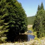 Mündungsbereich des Kleinen Regen