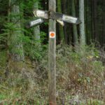 Dieser Wegweiser hatte auch schon bessere Tage Dieser Wegweiser hatte auch schon bessere Tage