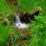 Nur das Wasser plätschert immer abwärts