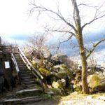 Gipfelbaum. Noch schien die Sonne Gipfelbaum. Noch schien die Sonne
