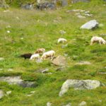 Denen ist es egal, ob ich die Gipfel sehen kann oder nicht