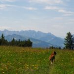 Kann ich da rüberspringen?
