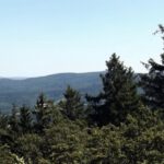 Nach Osten verdecken ein paar besonders hohe Fichten den Ausblick