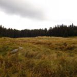 Filz am Hang zur Adamova hora