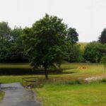 Fuchsberger Badeteich Fuchsberger Badeteich