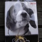 Netter Einband fürs Gipfelbuch Netter Einband fürs Gipfelbuch