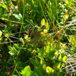 Die beiden hatten wesentlich mehr Spass als ich Die beiden hatten wesentlich mehr Spass als ich