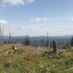 Ausblick vom Kleinen Rachel