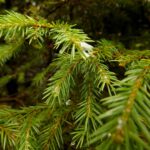 Zur Abwechslung mal wieder ein Tropfenmakro