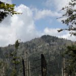 Erster freier Blick zum Großen Rachel Erster freier Blick zum Großen Rachel