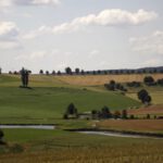 Atzmannsrichter Allee