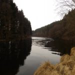 Unterwegs am Schwarzen Regen