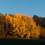 Hier dominieren Orangetöne