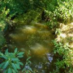 Schattenspiegel im Hiltenbach