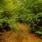 Sperre für Radlfahrer