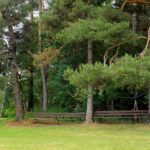 Abenteuerspielplatz bei Albrechtovice Abenteuerspielplatz bei Albrechtovice